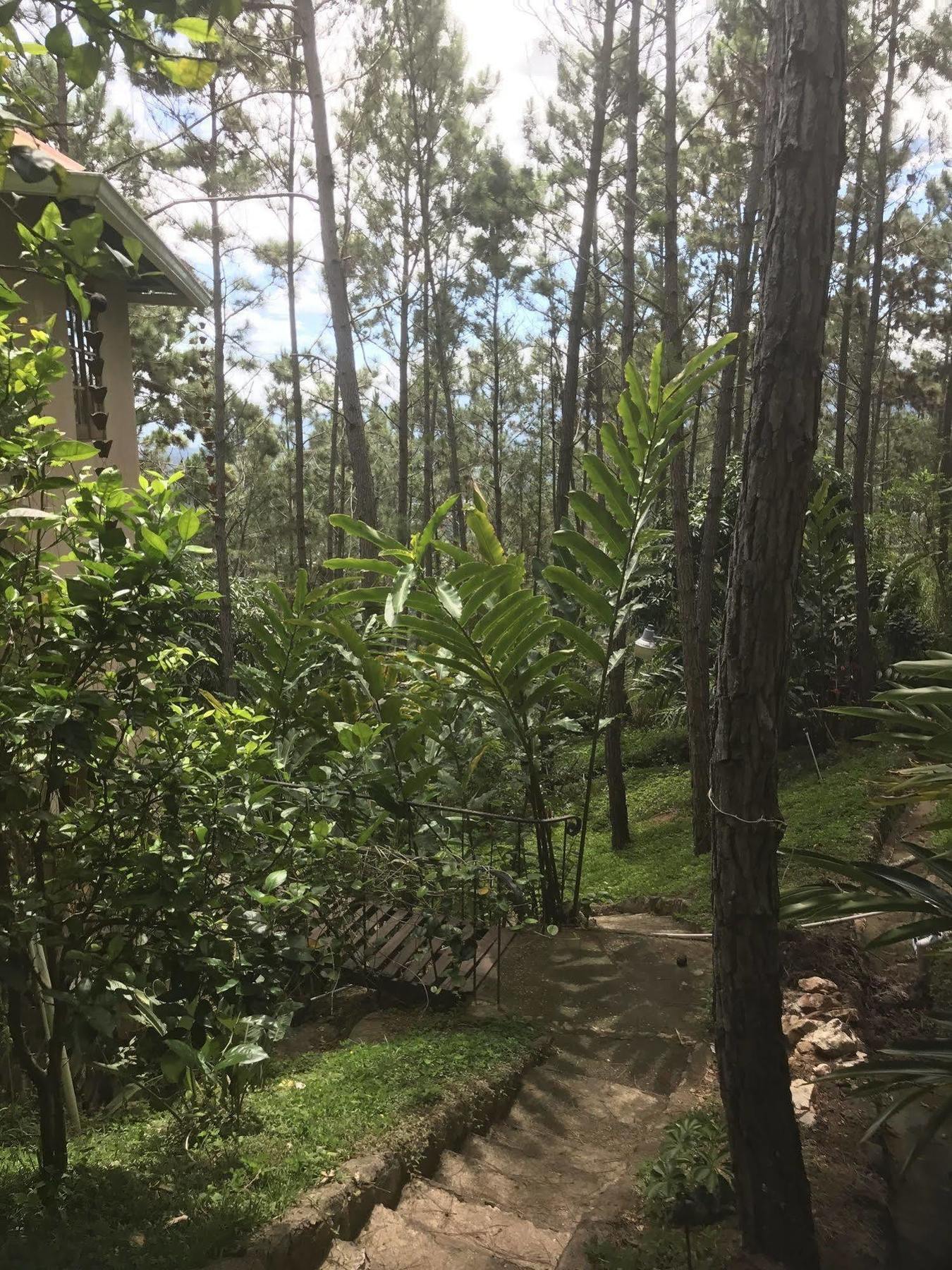 Hotel Rancho Tierra Alta Jarabacoa Zewnętrze zdjęcie